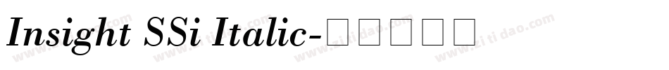 Insight SSi Italic字体转换